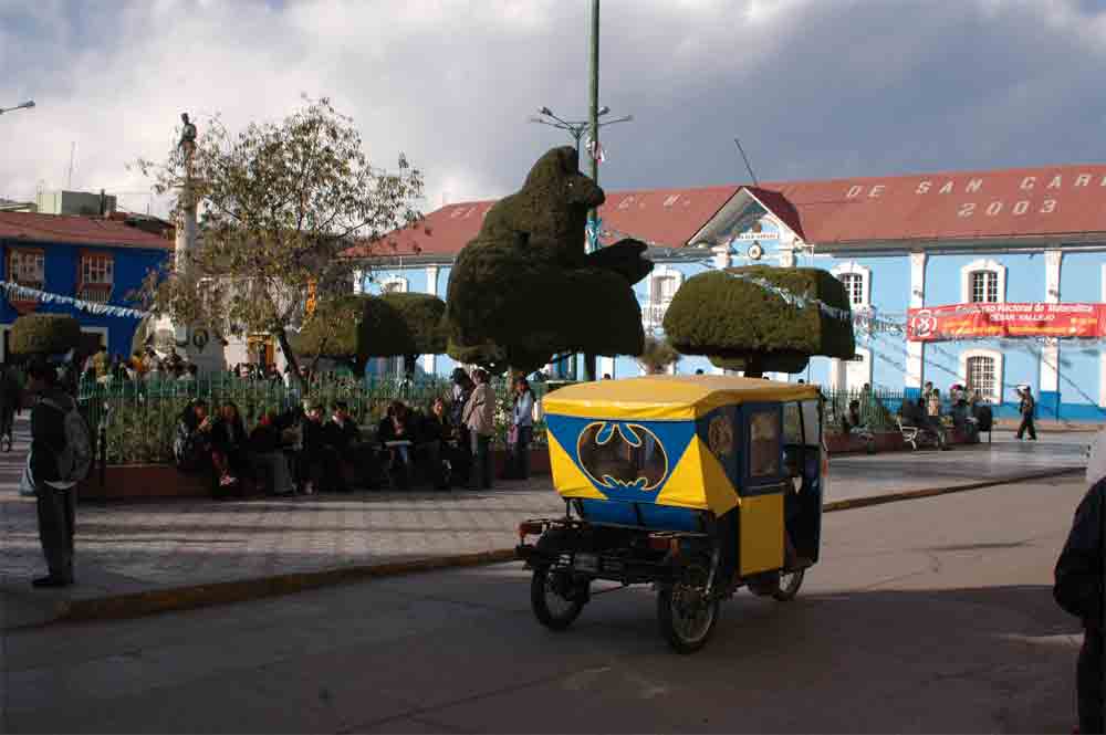 131 - Peru - Puno, parque Pino